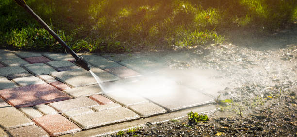 Animal Enclosure Cleaning in Newhall, IA